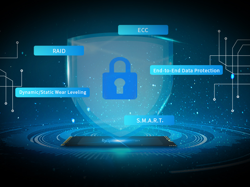 2021071689712 GM3500 SSD ѕupportѕ end-to-end data protection, dynamic/static wear leveling, 2K LDPC error correction code and S.M.A.R.T.