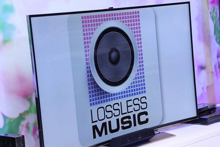 loa bluetooth bị rè