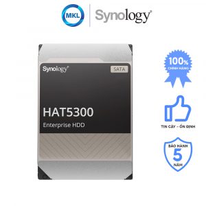 Ổ cứnɡ HDD Synology HAT5300 3.5 inch SATA chính hãng
