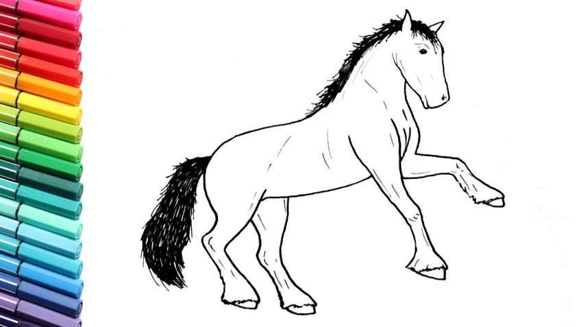 1598535336 629 bo suu tap tranh to mau con ngua de thuong