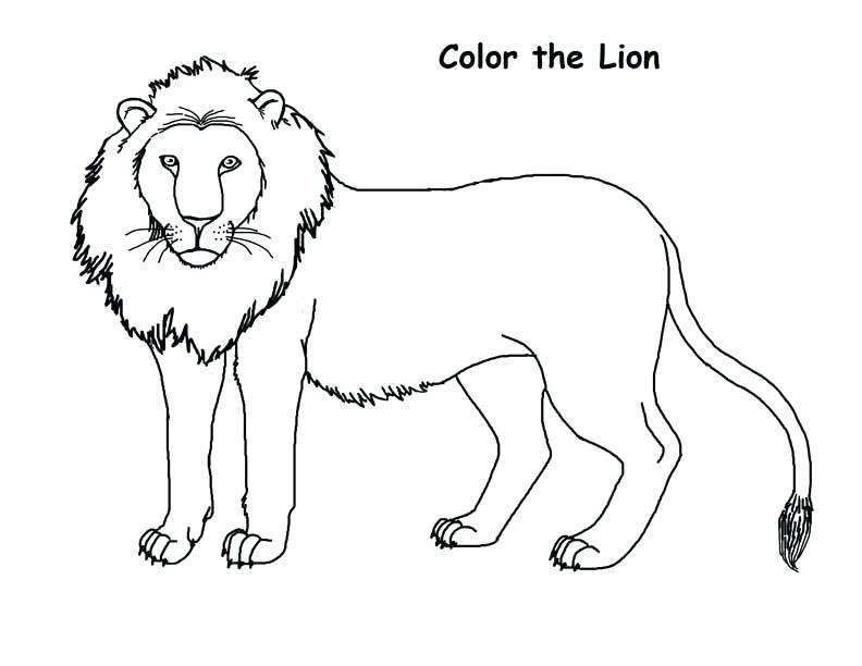 1598591647_933_891-tranh-to-mau-su-tu-ca-tinh-manh-me Tranh-to-color-con-su-tu-8