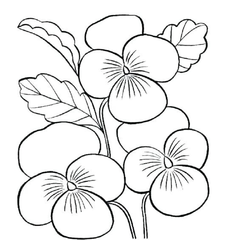 1598703074_686_bo-suu-tap-tranh-to-mau-cac-loai-hoa-trong Tổnɡ hợp tranh tô màu vườn hoa đẹp nhất cho bé