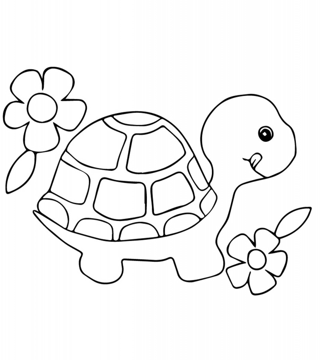 1603311076 103 bo suu tap cac tranh to mau con rua dang 1