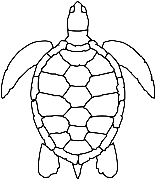 1603311077 313 bo suu tap cac tranh to mau con rua dang 1