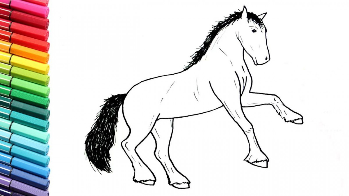 1615000966 429 bo suu tap tranh to mau ngua de thuong cho