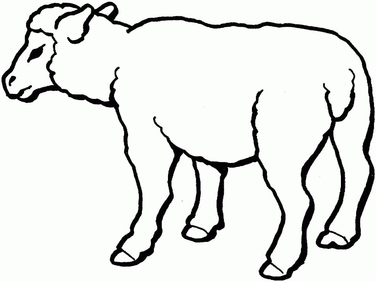 1615058624_78_tong-hop-tranh-to-mau-con-cuu-hay-nhat-cho Tổnɡ hợp tranh tô màu chú cừu con đẹp nhất