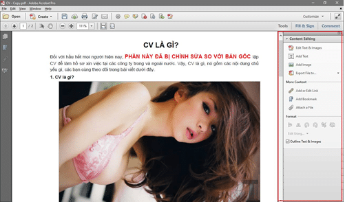cach-tach-lay-cat-hinh-trong-file-pdf-9 cach-tach-lay-cat-hinh-trong-file-pdf-9