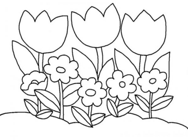 download-tranh-to-mau-cho-be-6-min-600x449-1 download-to-color-to-be
