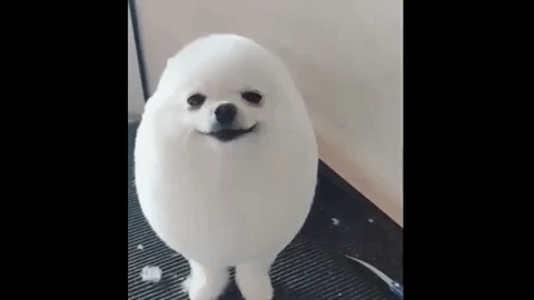 2 cách tạo ảnh động GIF từ Youtube đơn giản nhất 1 tạo ảnh động GIF từ Youtube