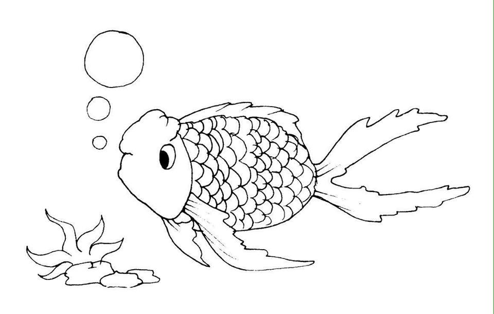 tai-tranh-to-mau-cho-be-hoc-mon-tap-to-mau-mam-non-3 -to-be-to-be-to-be-to-3-tuoi