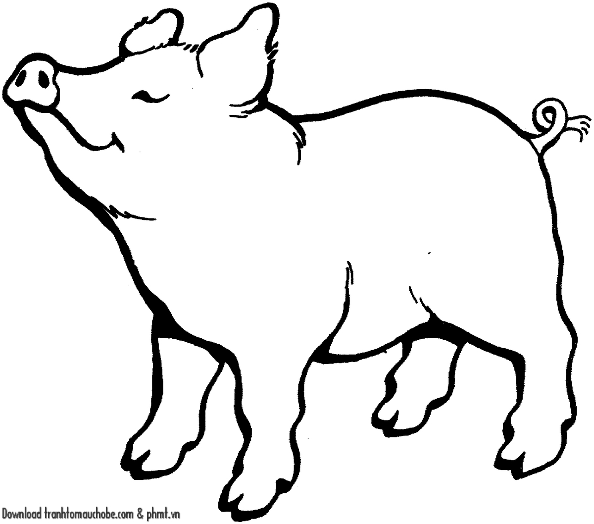 tranh to mau con heo ngo nghinh va de thuong 12