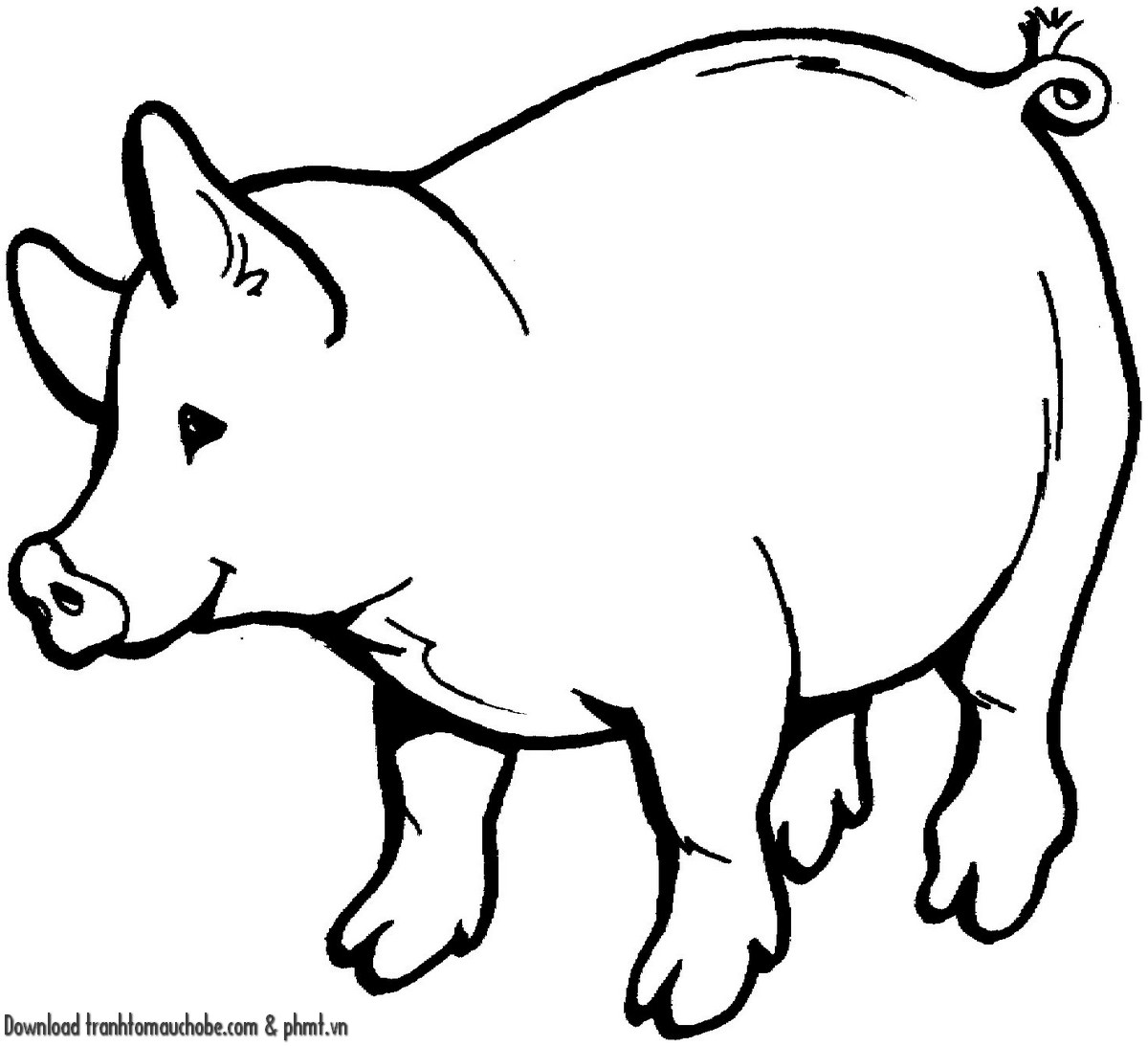 tranh to mau con heo ngo nghinh va de thuong 24