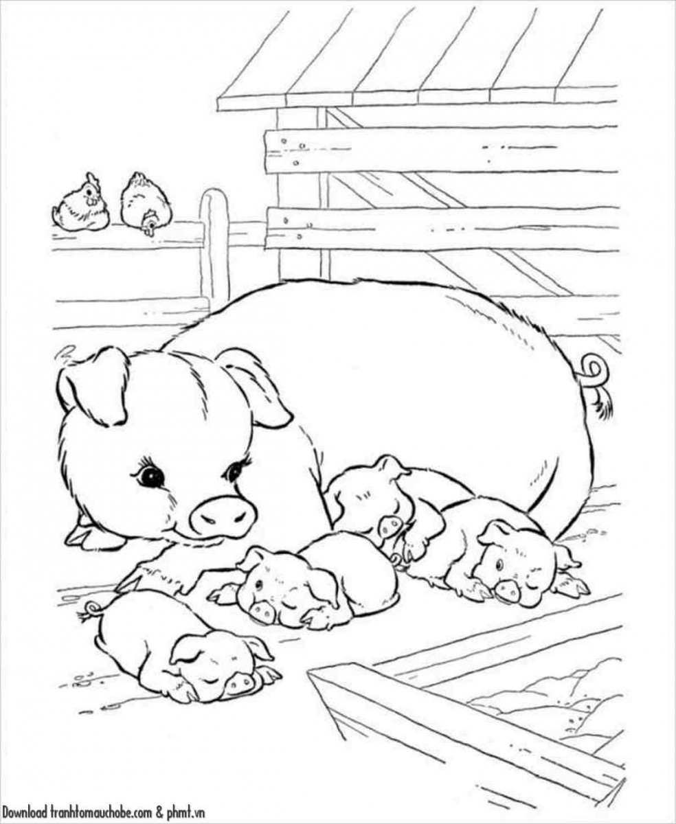 tranh to mau con heo ngo nghinh va de thuong 40