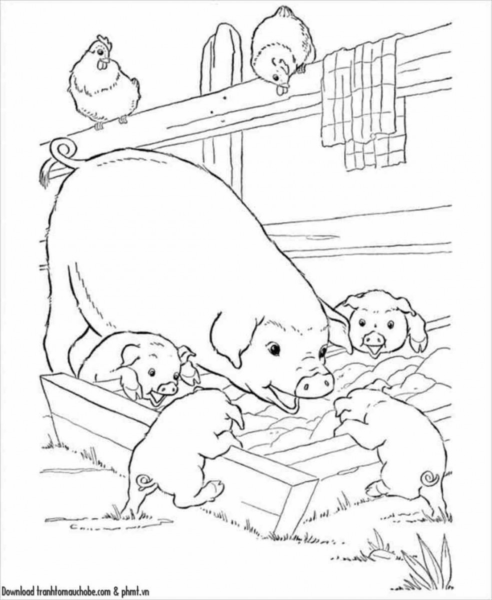 tranh to mau con heo ngo nghinh va de thuong 41