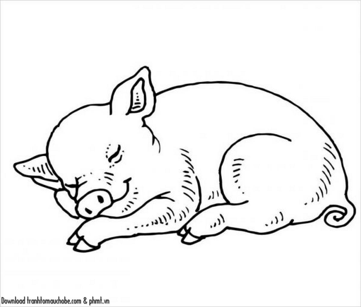 tranh to mau con heo ngo nghinh va de thuong 48