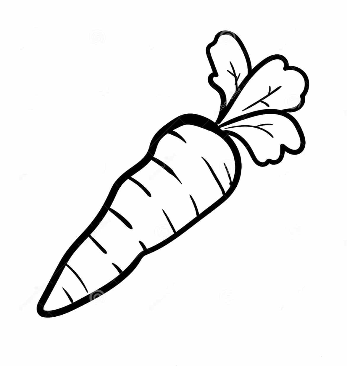 tranh-to-mau-cu-ca-rot-1 tranh-to-mau-cu-ca-rot-1