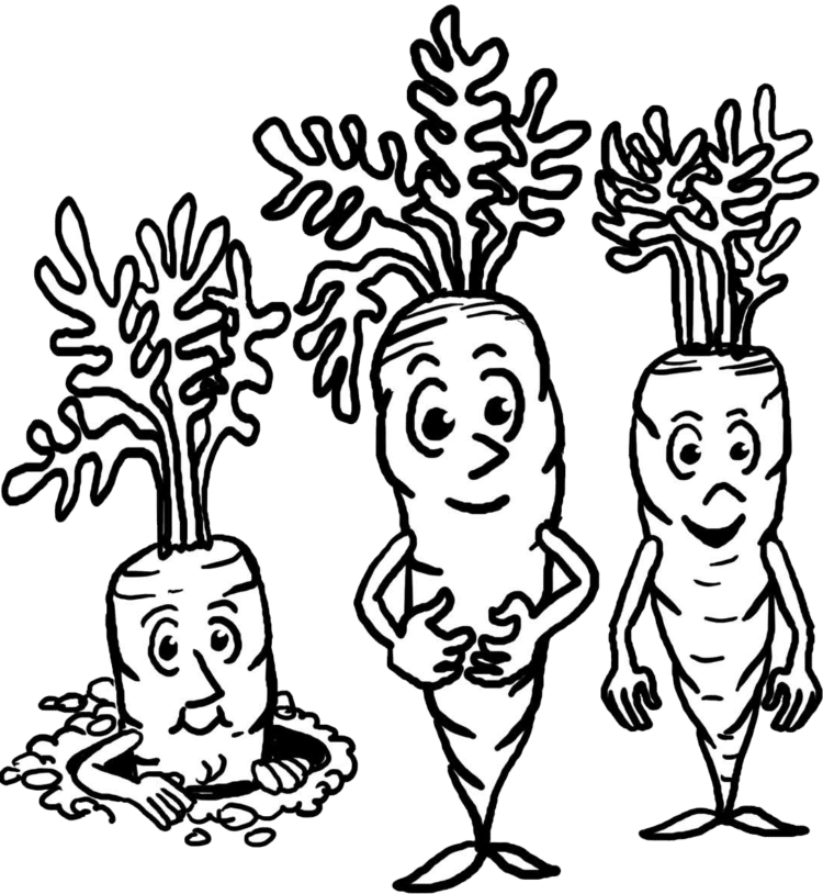 tranh-to-mau-cu-ca-rot-14 tranh-to-mau-cu-ca-rot-14