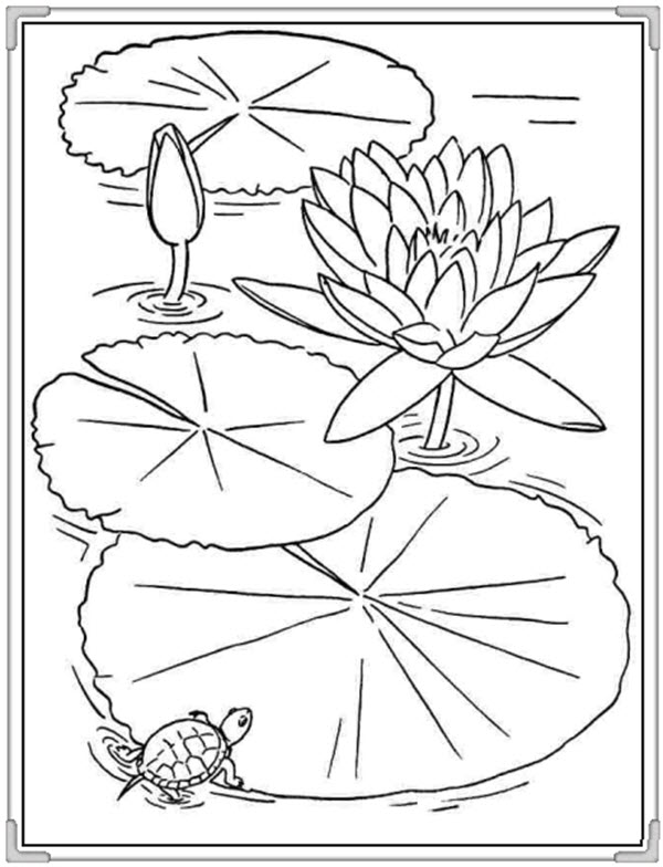 tranh-to-mau-hoa-qua-cho-be-de-thuong-9 Hình-to-hoa-to-be-to-9