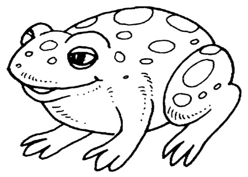 tranh-to-mau-mau-giao-cho-cac-be-mam-non-15 -to-color-to-color-for-the-color-for-color-15