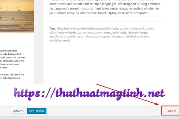 4 Plugin này giúp bạn tối ưu tốc độ WordPress trên Google Pagespeed 11 xóa theme