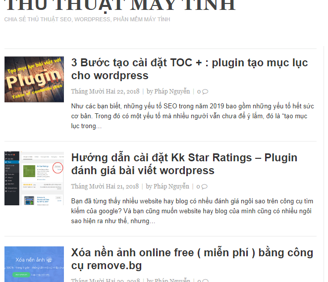 Hướng dẫn 2 cách cài đặt Theme WordPress giống demo cho Newbie 13 xem kết quả giao diện