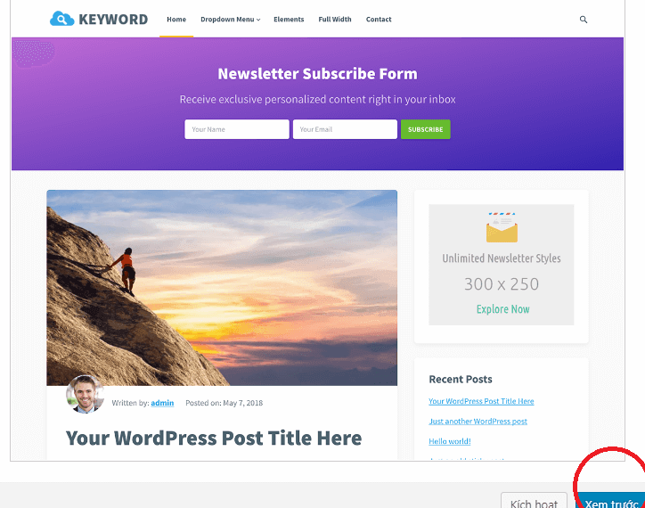 Hướng dẫn 2 cách cài đặt Theme WordPress giống demo cho Newbie 2 xem trước thông tin về giao diện