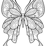 tranh-to-mau-con-buom-1